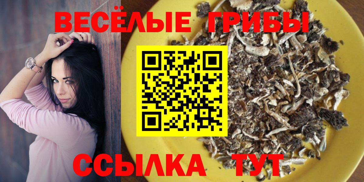 Галлюциногенные грибы Magic Shrooms  Вход с VPN  Галлюциногенные грибы прущие грибы  Барнаул 